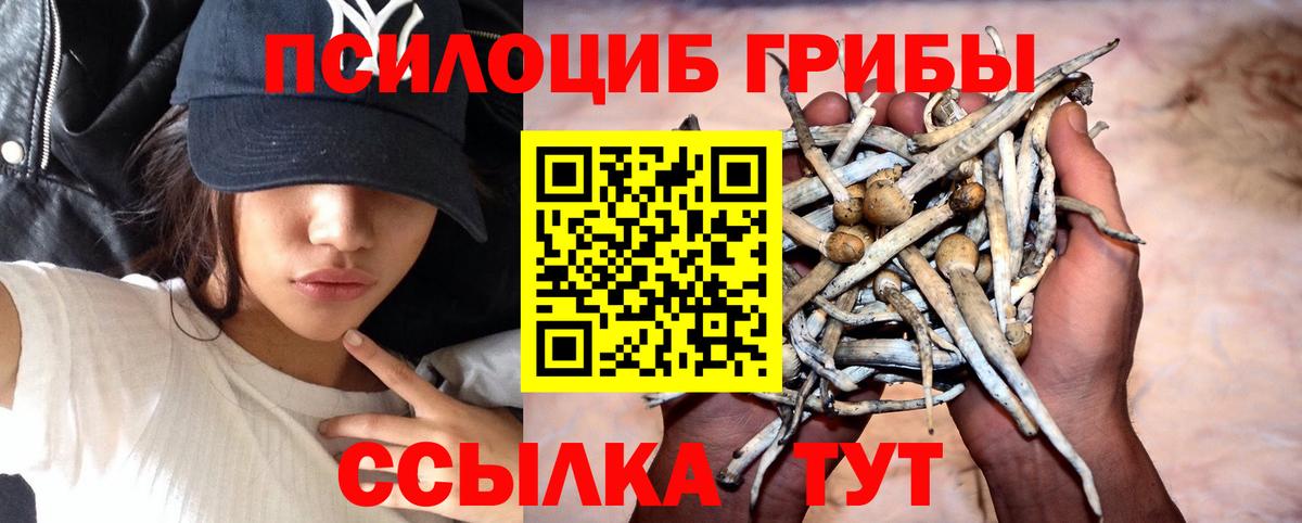 Шали  Галлюциногенные грибы Cubensis  Вход с VPN  Галлюциногенные грибы мухоморы 